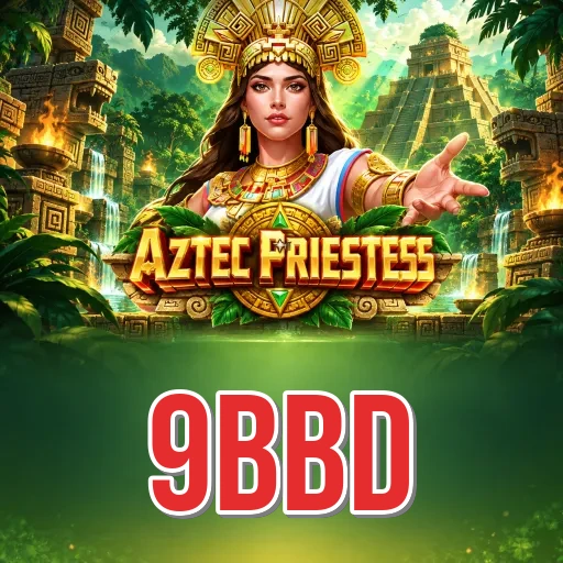 9bbd Expert Team