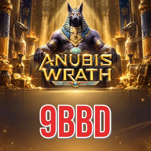 9bbd Features